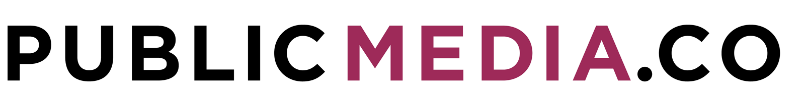 Public Media Company Logo